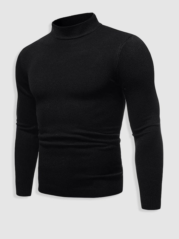 Baptiste | Men's Slim Fit Turtleneck Sweater