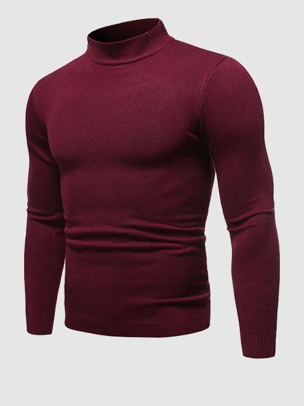 Baptiste | Men's Slim Fit Turtleneck Sweater