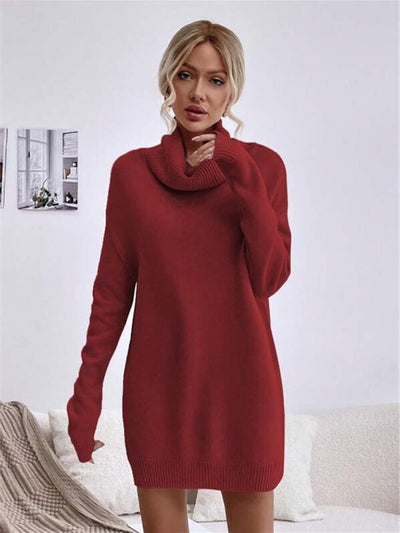 VICTORIA | Long Fit Knitted Turtleneck Sweater